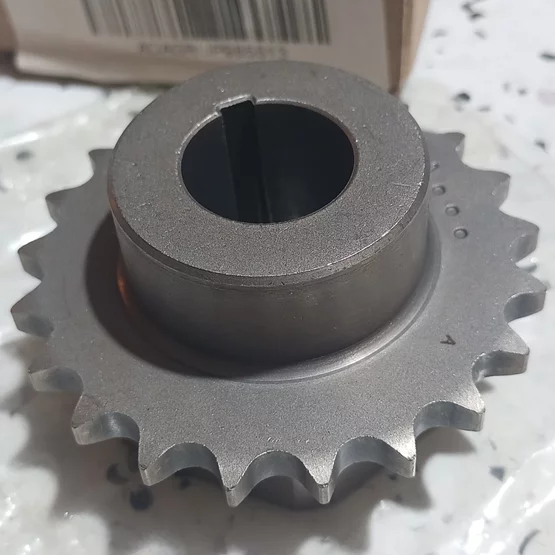 55596894, -
